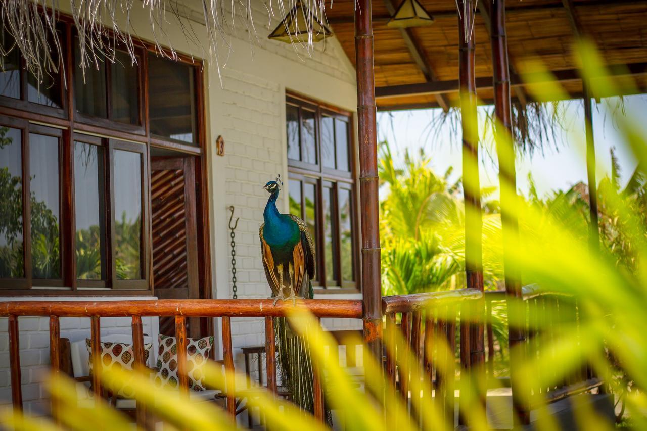 La Choza Bungalows Tambo Grande エクステリア 写真